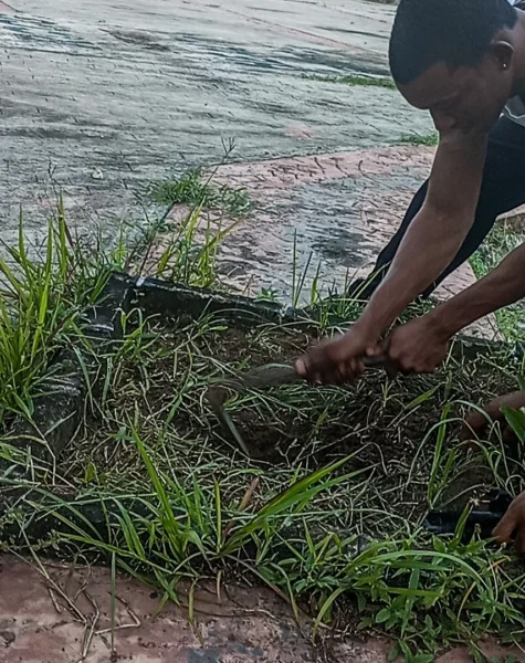 SaveClip.App_500671652_18495798328041820_5472177870075303608_n