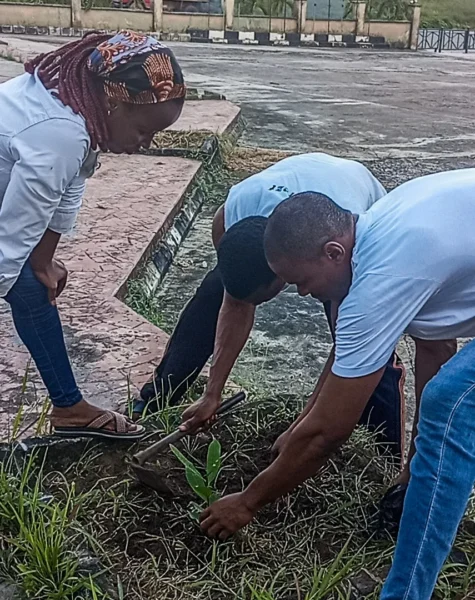 SaveClip.App_501338483_18495798331041820_7241026660295807421_n